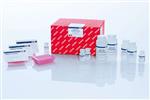 74171 | RNeasy 96 QIAcube HT Kit (5)